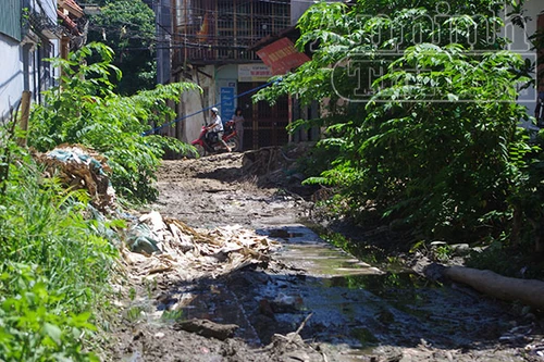 4 năm bức xúc con đường “lợn lành thành lợn què”