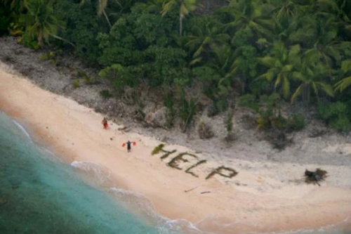 Dùng lá cọ để cầu cứu