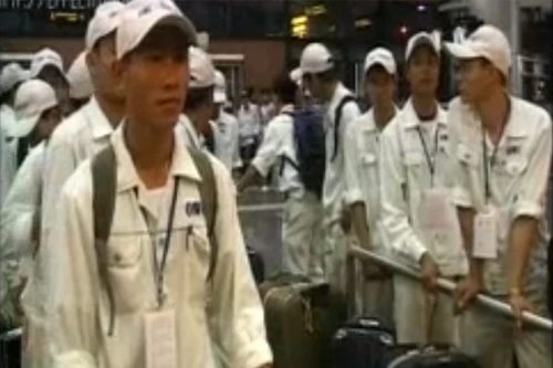 Miễn xử phạt lao động bất hợp pháp về nước trước 31-12-2015