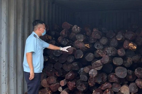 Ngụy trang tinh vi để vận chuyển gần chục tấn gỗ quý 