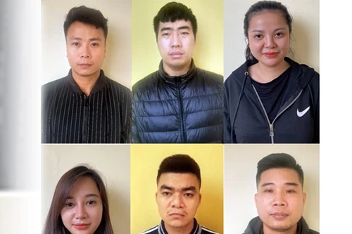 'Hội' buôn lan đột biến thuê khách sạn đánh bạc và tổ chức sử dụng ma túy