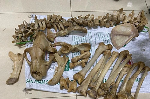 Phát hiện vụ vận chuyển 14,5kg nghi xương hổ