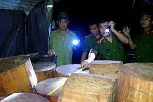 Phát hiện xe tải chở gần 200 khúc gỗ quý 