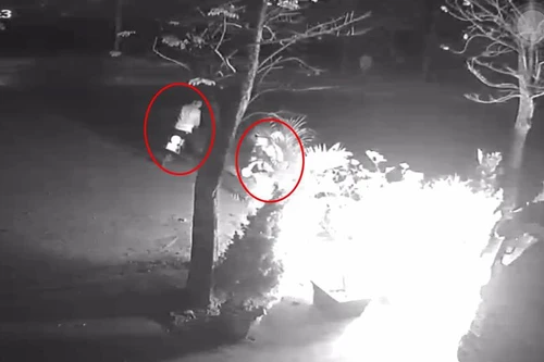 Bí ẩn kẻ bịt mặt ném 'bom xăng' hủy hoại tài sản 