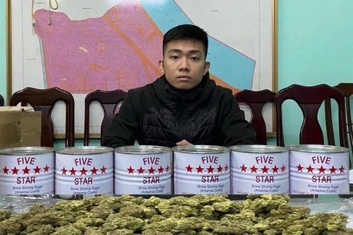 Triệt phá đường dây vận chuyển ma túy thông qua chuyển phát nhanh 