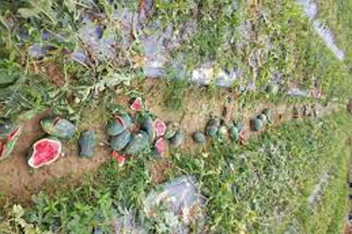 Công an quận Tây Hồ tìm người biết việc 