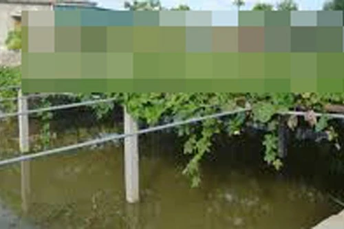 “Đột kích” điểm bán ma túy bao quanh bằng tường rào 