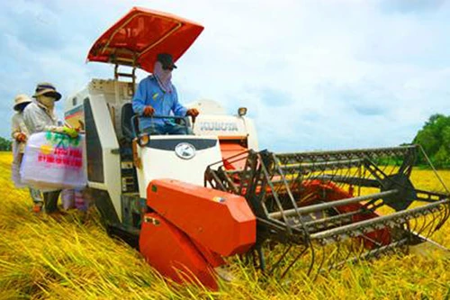 Giảm mạnh đói nghèo vùng nông thôn