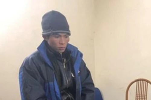 Bắt giữ tượng vận chuyển ma túy có súng