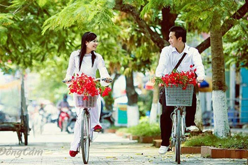 Lãng mạn sinh viên yêu