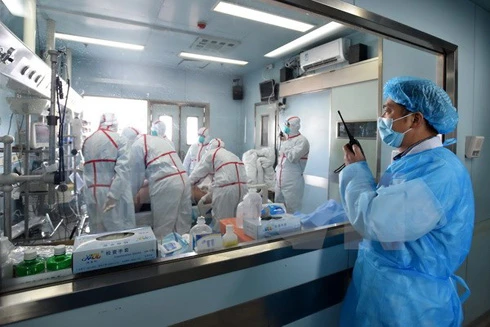 Cúm gia cầm bùng phát nhưng nguy cơ lây sang người thấp