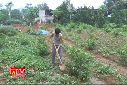 Miền đất hứa – Cạm bẫy và những rủi ro