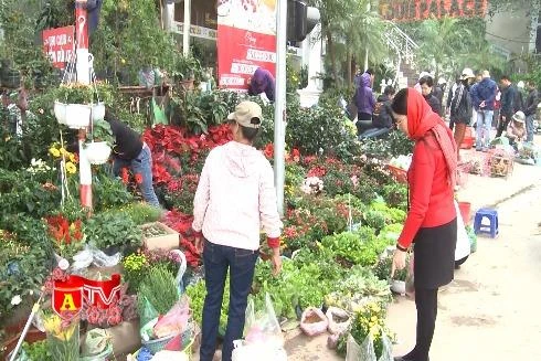 Chợ phiên kẻ Bưởi – Nét văn hóa đất Hà thành