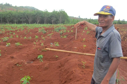 Sự thật về lời đồn bị thần linh trừng phạt khiến cả làng hoang mang