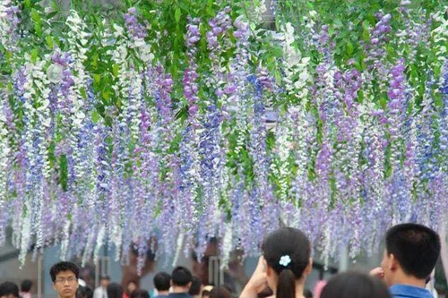 Chiêm ngưỡng đường hầm bằng hoa dài 20m