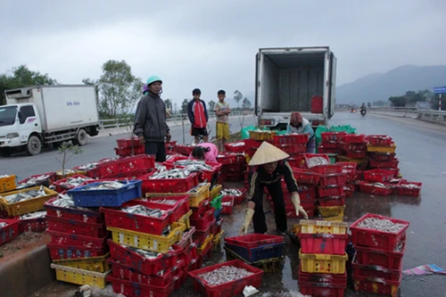 Xe chở cá nổ lốp lật xuống đường, người dân giúp tài xế thu gom cá