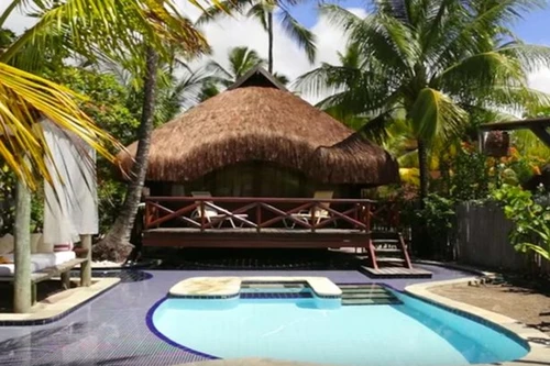 Mourinho được đề nghị ký hợp đồng huấn luyện ở Brazil, trả lương bằng 1 giỏ thức ăn!