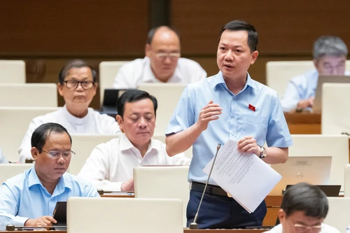 ĐBQH: “Hoa hậu, diễn viên không biết về sản phẩm nhưng vẫn quảng cáo là không được”