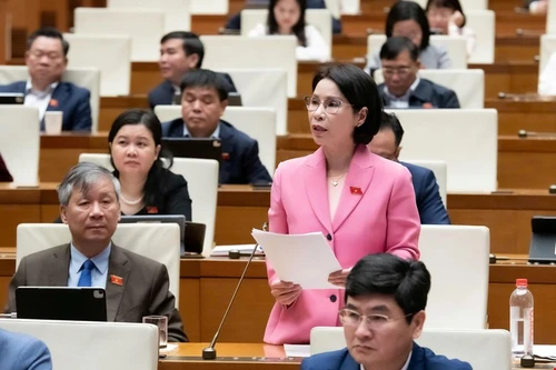 Đại biểu Quốc hội đề nghị áp dụng 100% phụ cấp ưu đãi nghề cho bác sĩ chuyên môn tại trạm y tế xã, cơ sở y tế dự phòng