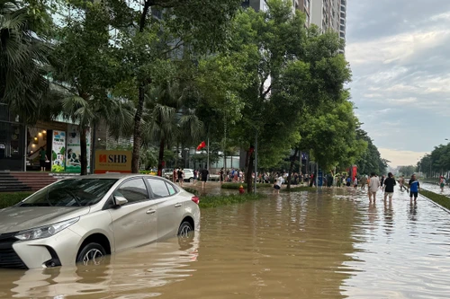 Thủ tục cấp lại biển số xe nhanh nhất khi xe ngập nước bị hỏng, mất biển số 