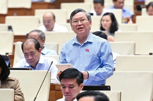 Đại biểu Quốc hội đề nghị xử lý nghiêm cán bộ bao che, dung túng cho tội phạm sản xuất, buôn bán thực phẩm giả