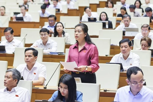 Đại biểu Quốc hội: Việc sử dụng hóa chất độc hại trên trái cây, rau củ diễn ra phổ biến