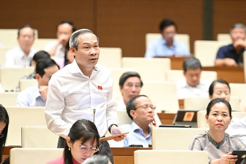 Đại biểu quốc hội: Đề nghị hạ độ tuổi tham gia góp vốn thành lập doanh nghiệp là từ 16 tuổi trở lên