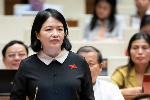 Đại biểu Quốc hội lên tiếng về nguy cơ tội phạm nhắm đến trẻ em 