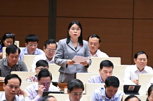 Đại biểu Quốc hội đề xuất cách giải quyết tình trạng quy hoạch "treo", xung đột quy hoạch