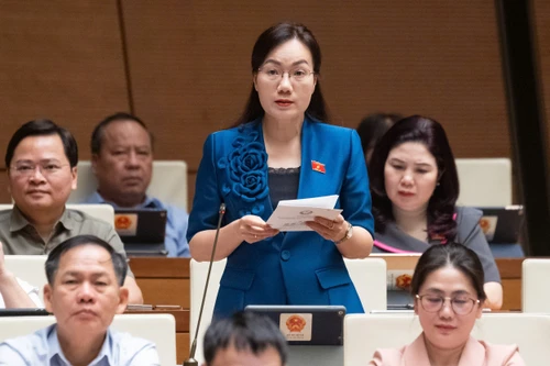 Cần quy định rõ hơn trách nhiệm của Uỷ ban nhân dân, Chủ tịch Uỷ ban nhân dân cấp tỉnh trong Luật