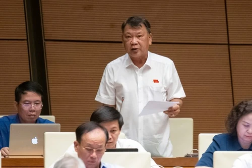 Đại biểu Quốc hội đề nghị quy định rõ hành vi cố ý không quyết định thanh tra 