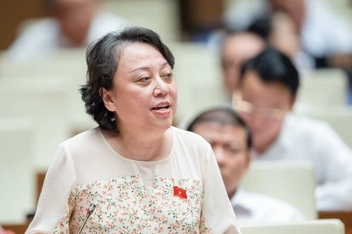 ĐBQH: Thanh tra theo kế hoạch thông báo rầm rộ sẽ không hiệu quả