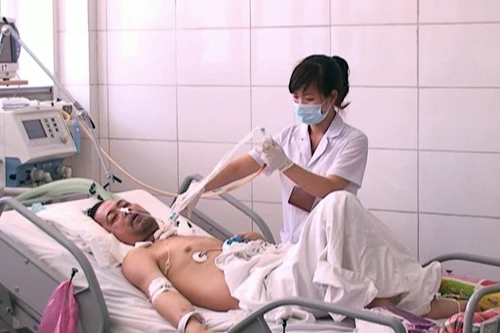 Hà Nội có 3 trường hợp bị chuột cắn phải nhập viện