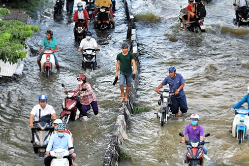 [Clip] Triều cường dâng cao ở ĐBSCL, hơn 5.000 ngôi nhà chìm trong "biển nước"