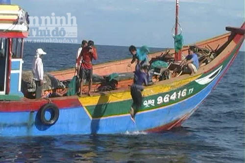 Lặn đánh bắt hải sâm – sinh nghề tử nghiệp