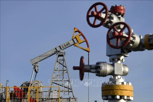 Kiên trì cắt giảm sản lượng mang lại 'trái ngọt' cho Tổ chức OPEC+