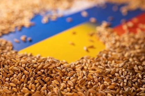 Thỏa thuận xuất khẩu ngũ cốc từ Ukraine tiết lộ chi tiết nguy hiểm đối với Mỹ