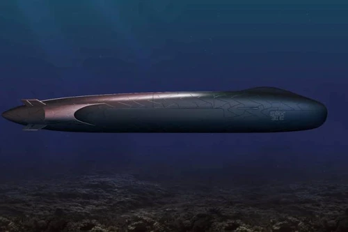 [ẢNH] Pháp ra mắt "tàu ngầm sinh học" SMX31E độc nhất vô nhị