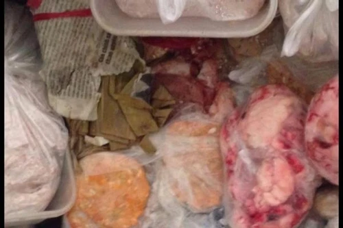 Phát hiện và thu giữ hơn 150kg thịt thối và giải thoát 3 cá thể culi