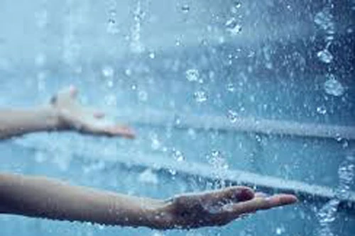 Nước mưa vô hại với sức khỏe