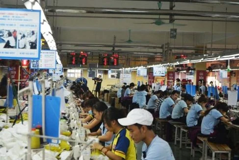 50 năm xây dựng và trưởng thành