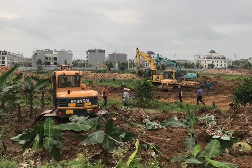 Chỉ được đất tái định cư khi bị Nhà nước thu hồi về đất ở 