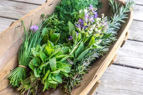 Rau thơm - điều kỳ diệu của món ăn Việt 