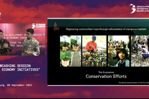 Kinh tế số mở ra cơ hội tăng trưởng mới cho Indonesia