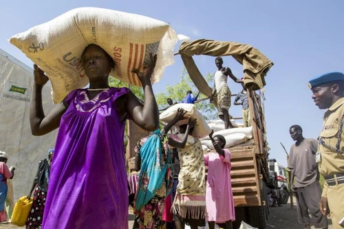 Liên hợp quốc kêu gọi nhanh chóng tháo gỡ khủng hoảng lương thực toàn cầu 
