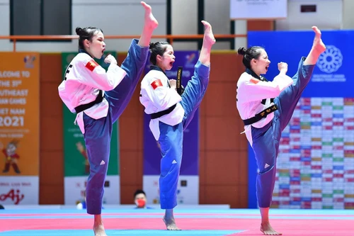 Đẳng cấp võ sĩ Taekwondo Việt Nam 