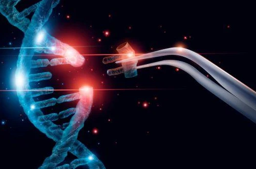 Thế giới thắt chặt quy định chỉnh sửa gene di truyền của con người 