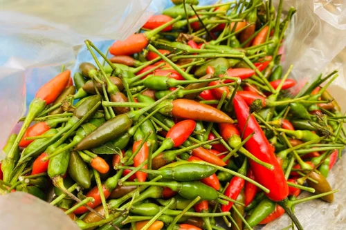 Ớt - gia vị vừa là bạn, vừa là thù