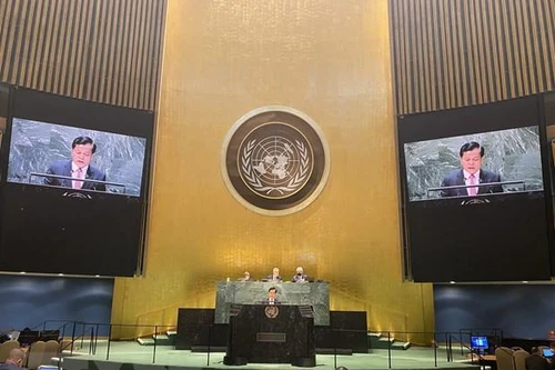 Liên hợp quốc ấn tượng trước tiến trình phục hồi, phát triển của Việt Nam sau đại dịch Covid-19