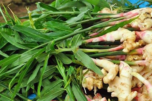 Gừng càng già càng cay